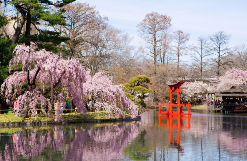 Brooklyn Botanic Garden, United States